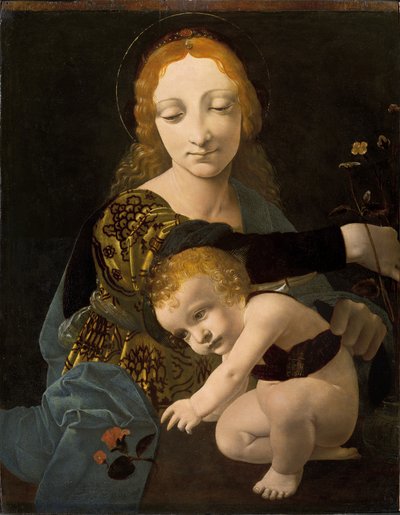 The Virgin and Child (The Madonna of the Rose) by Giovanni Antonio Boltraffio